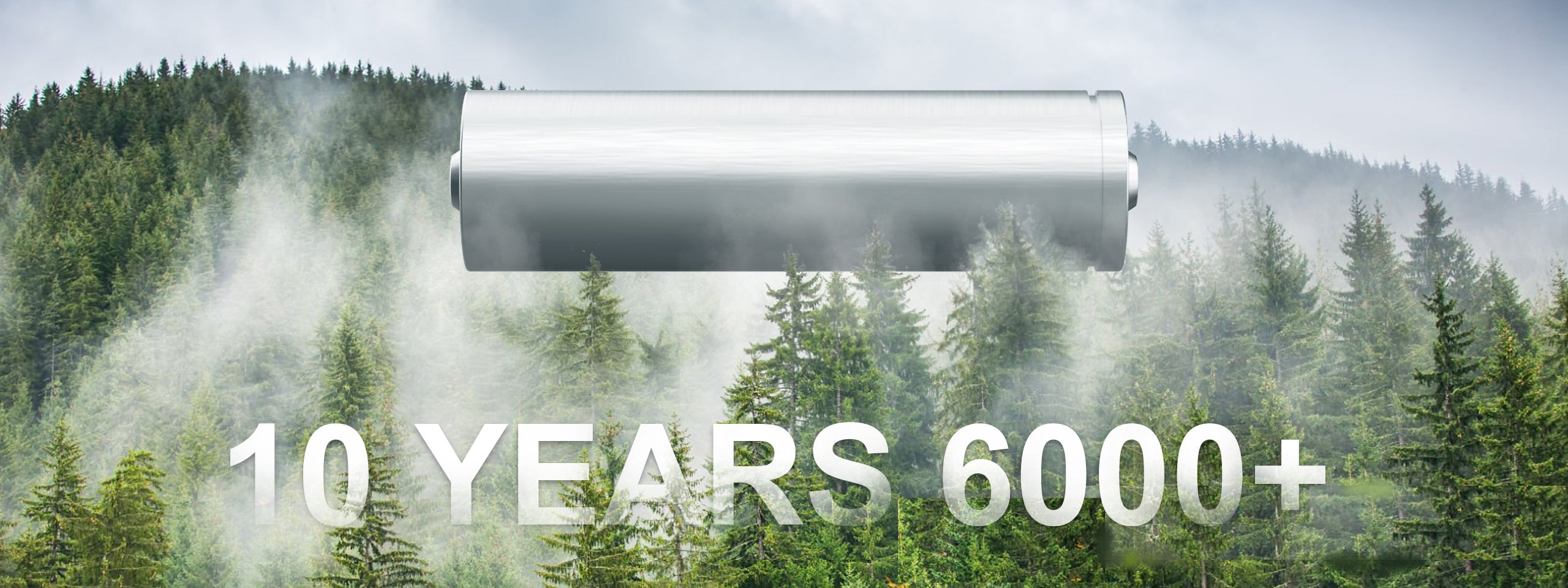 battery with 6000 life cycle